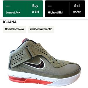 Nike Lebron Air Max Solider 5 (Iguana) Size 11 Men